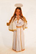Aniel 1